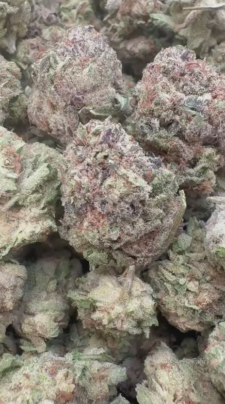 Purple Punch - Bulk - Indica