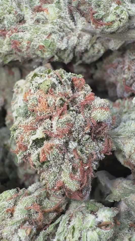 Blue Punch - Bulk - Indica