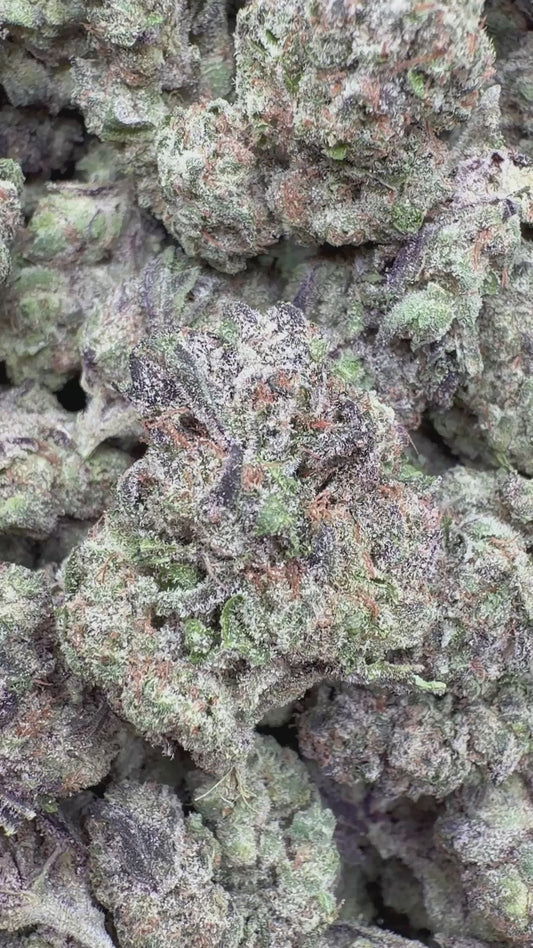 GMO Indoor - Bulk - Indica