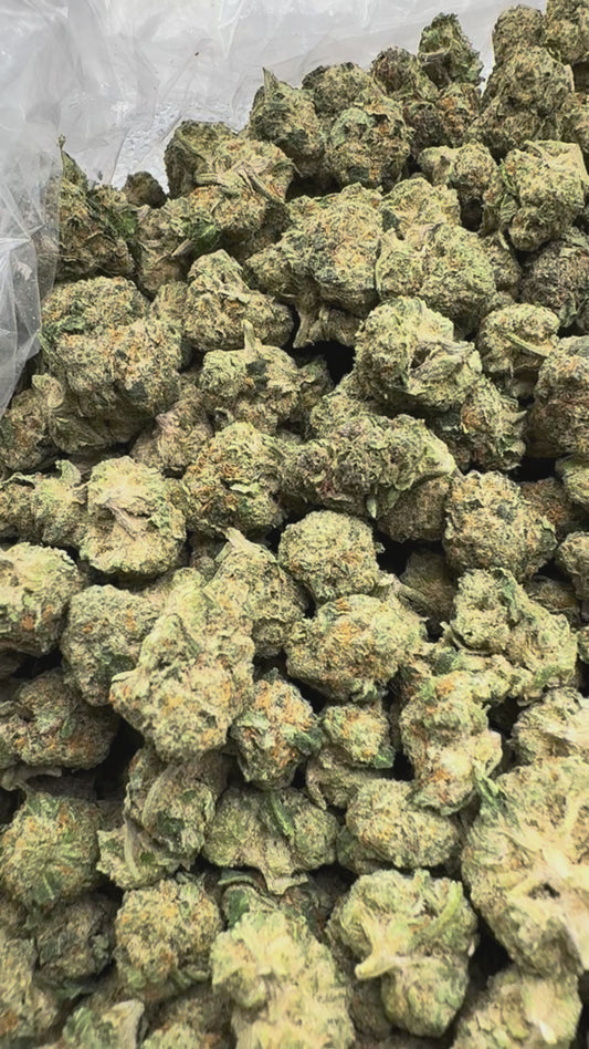 Lemonatti Minis - Bulk Minis - Sativa