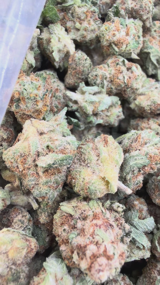 Girl Scout Cookies Minis - Bulk Minis - Hybrid