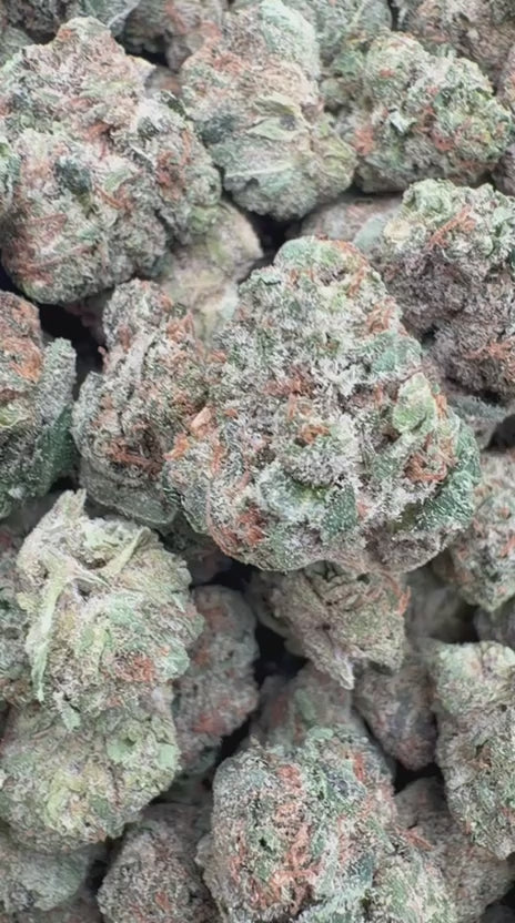 Sherbet Cookies Minis - Bulk Minis - Hybrid