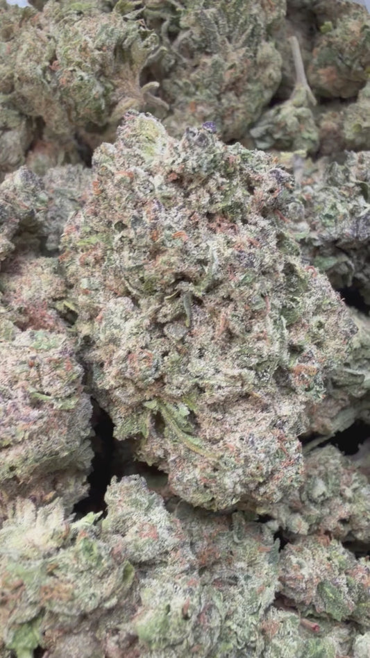 Apple Banana - Bulk - Hybrid