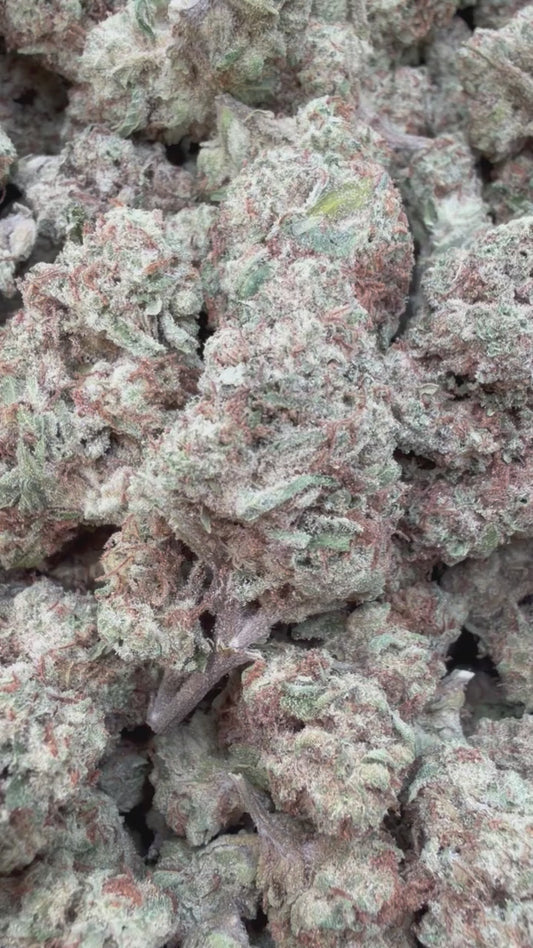 Raspberry Kush Mediums - Bulk Mediums - Indica