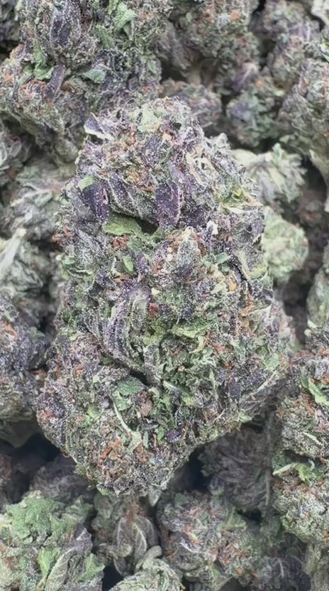 Galactic Runtz - Bulk - Indica
