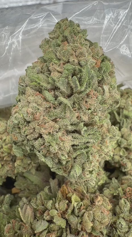 Maui Wowie - Bulk - Sativa