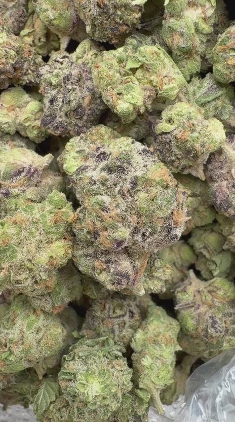 Do Si Dos x Lava Cake Minis - Bulk Minis - Indica