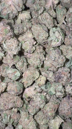 Lemon Bar  Littles - Bulk Littles - Sativa