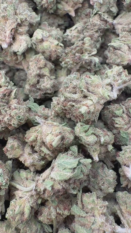 Cookies and Cream Minis - Bulk Minis - Hybrid