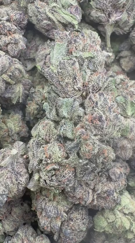 Red Velvet - Bulk - Hybrid