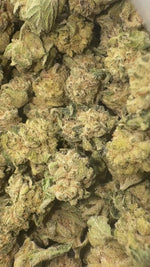 Modified Mintz - Bulk Minis - Indica
