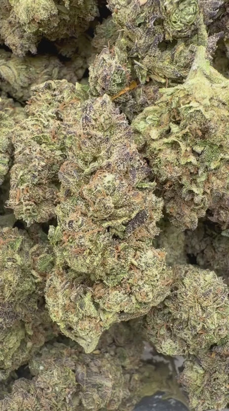 Purple Churro - Bulk - Indica