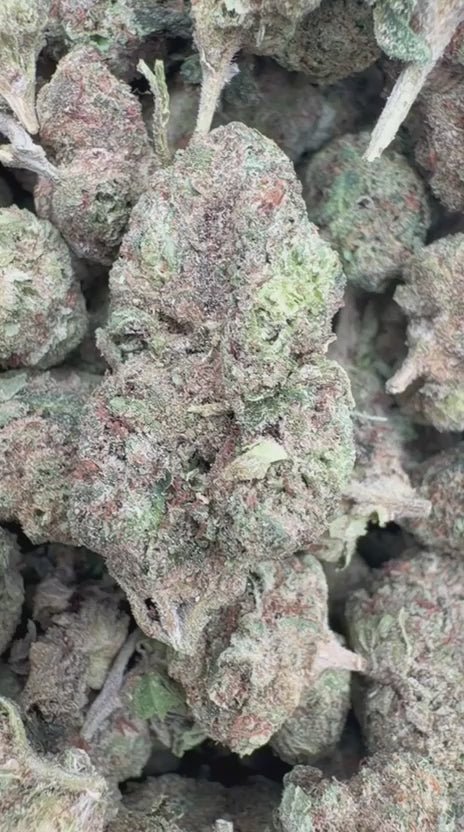 White Nerds Mediums - Bulk Mediums - Hybrid