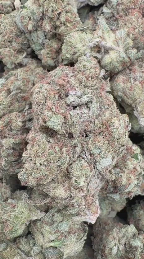 Face Off OG - Bulk - Indica