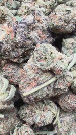 Sherbet & Haze Mediums - Bulk Mediums - Sativa