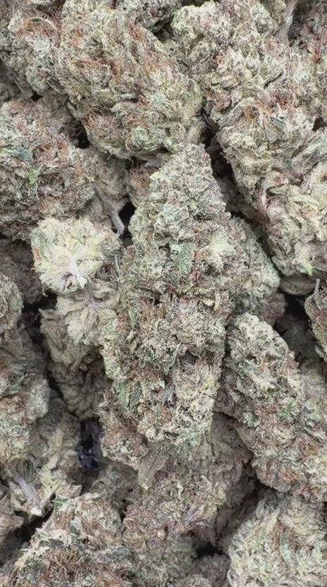 Grease Monkey - Bulk- Indica