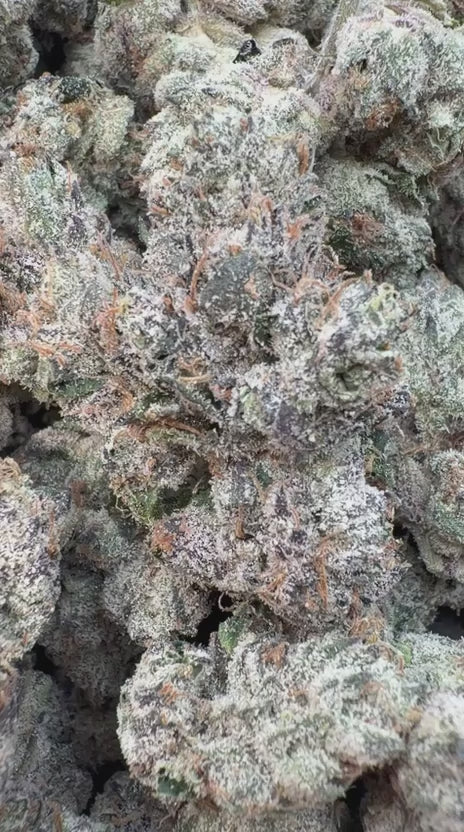 Elite Boutique Exotics Cotton Kandy Faygo - Bulk - Hybrid