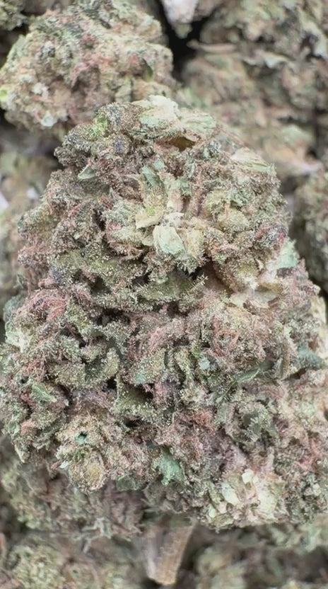 Mega OG - Bulk - Indica