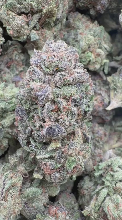 Blue Andes - Bulk - Hybrid
