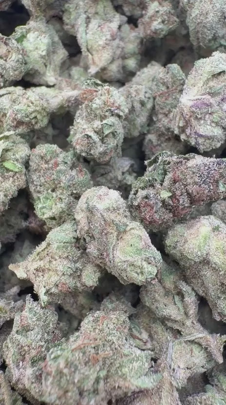 Pink Runtz Minis - Bulk Minis - Hybrid