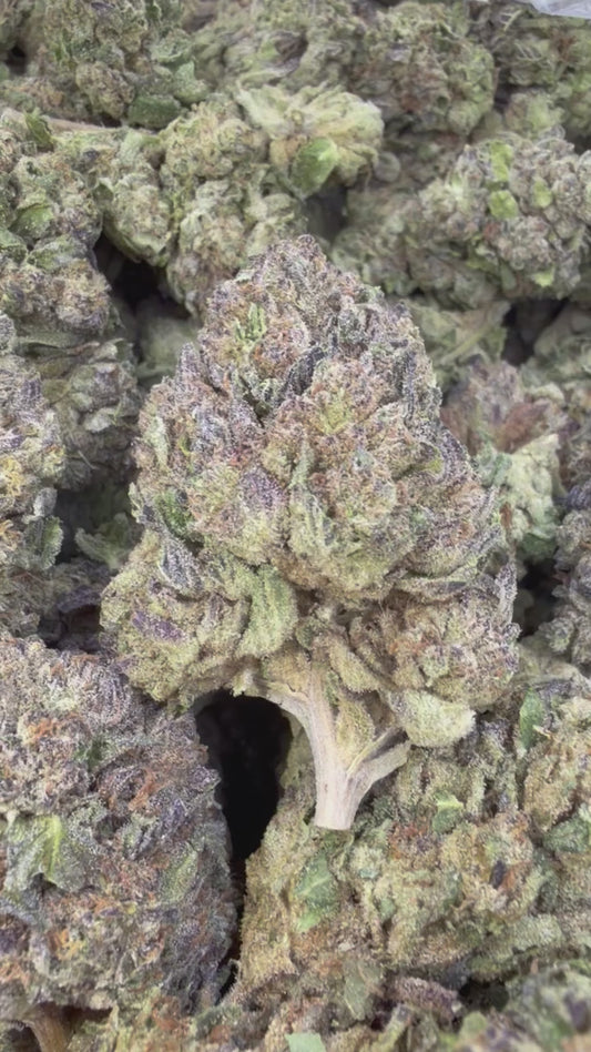 Bubba Candy - Bulk - Indica