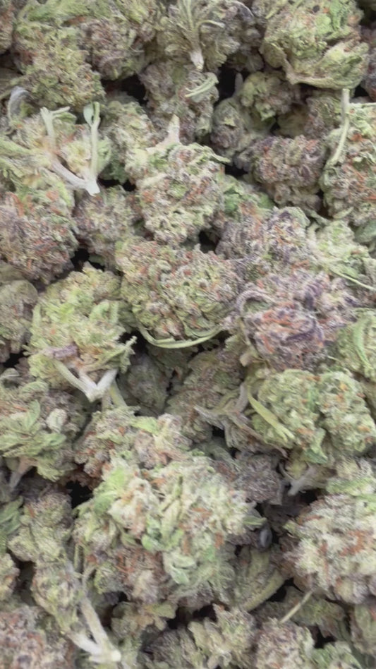 Peanut Butter Souffle Minis - Bulk Minis - Indica