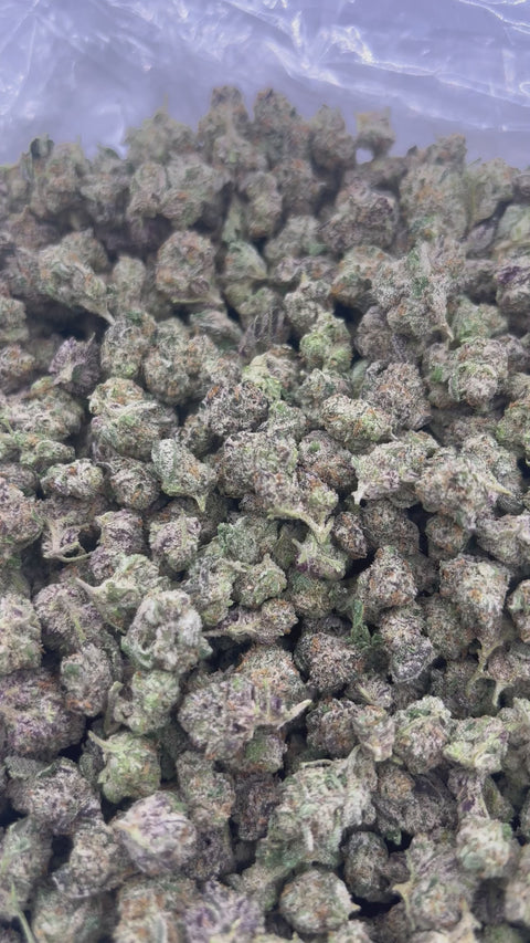 Candy Runtz - Bulk - Minis (Hybrid)