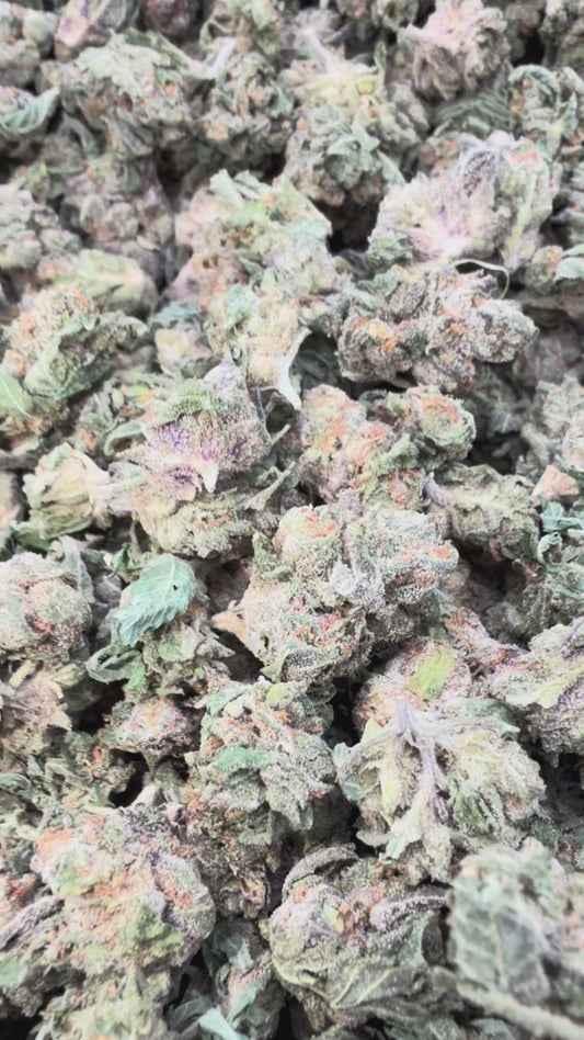 Super Runtz Minis - Bulk Minis - Hybrid