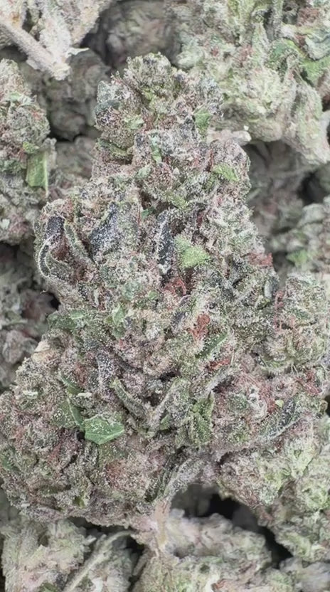 Han Solo Burger - Bulk - Indica