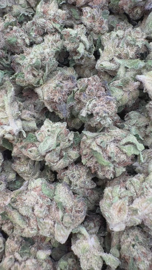 Donutz Indoor Minis - Bulk Minis - Indica