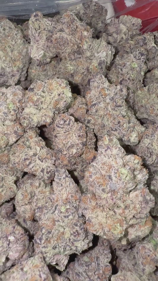 Snozz Berries - Bulk - Hybrid
