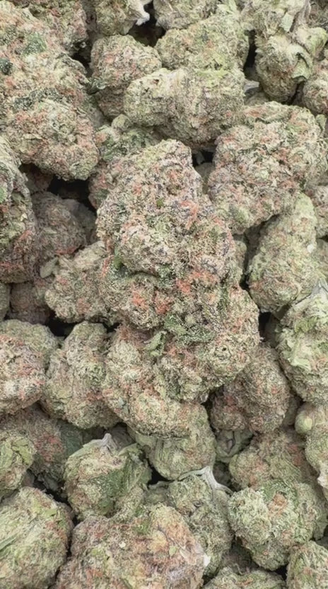 Birthday Cake - Bulk - Indica