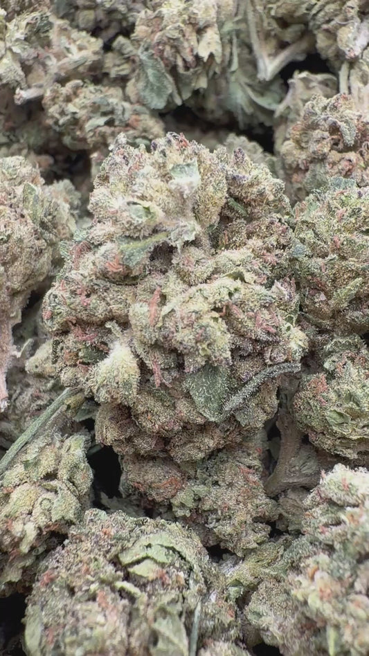 Peanut Butter Cup - Bulk - Indica