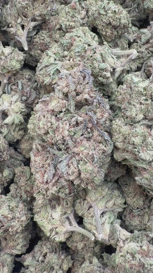 Rainbow Runtz - Bulk - Hybrid