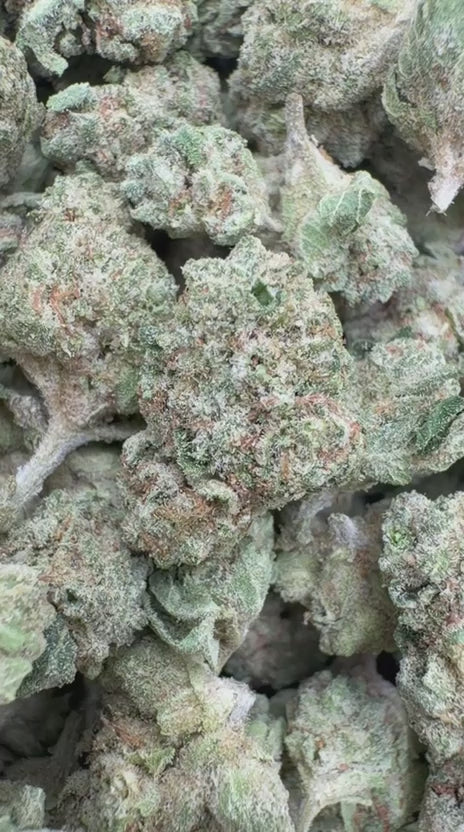 Berry Zkittles Littles - Bulk Littles - Indica