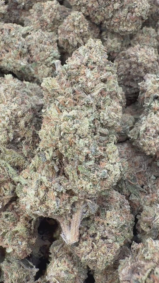 Banjerine - Bulk - Sativa