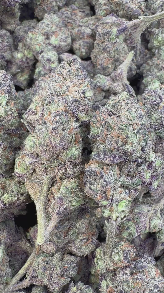 Gumbo Indoor - Bulk - Hybrid
