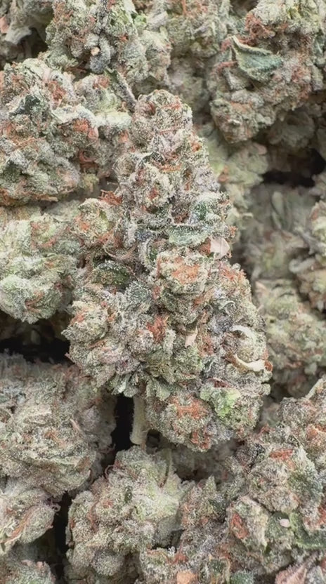 Super Runtz Indoor - Bulk - Hybrid