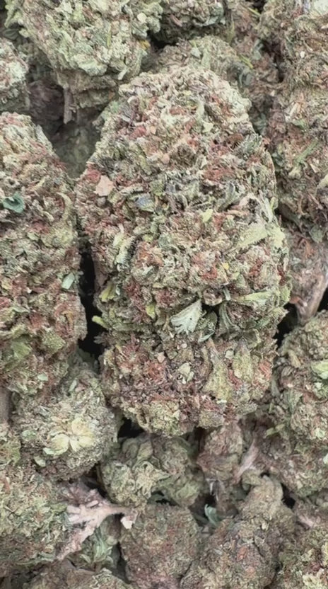 24K Gold - Bulk - Indica