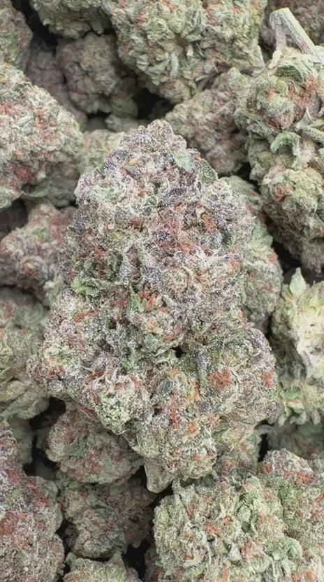 Animal Mintz - Bulk - Hybrid