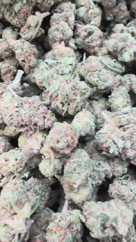 Bling Blaow Minis - Bulk Minis - Hybrid