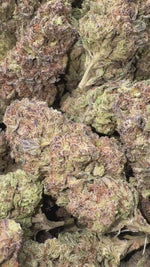 Gush Mintz - Bulk - Indica