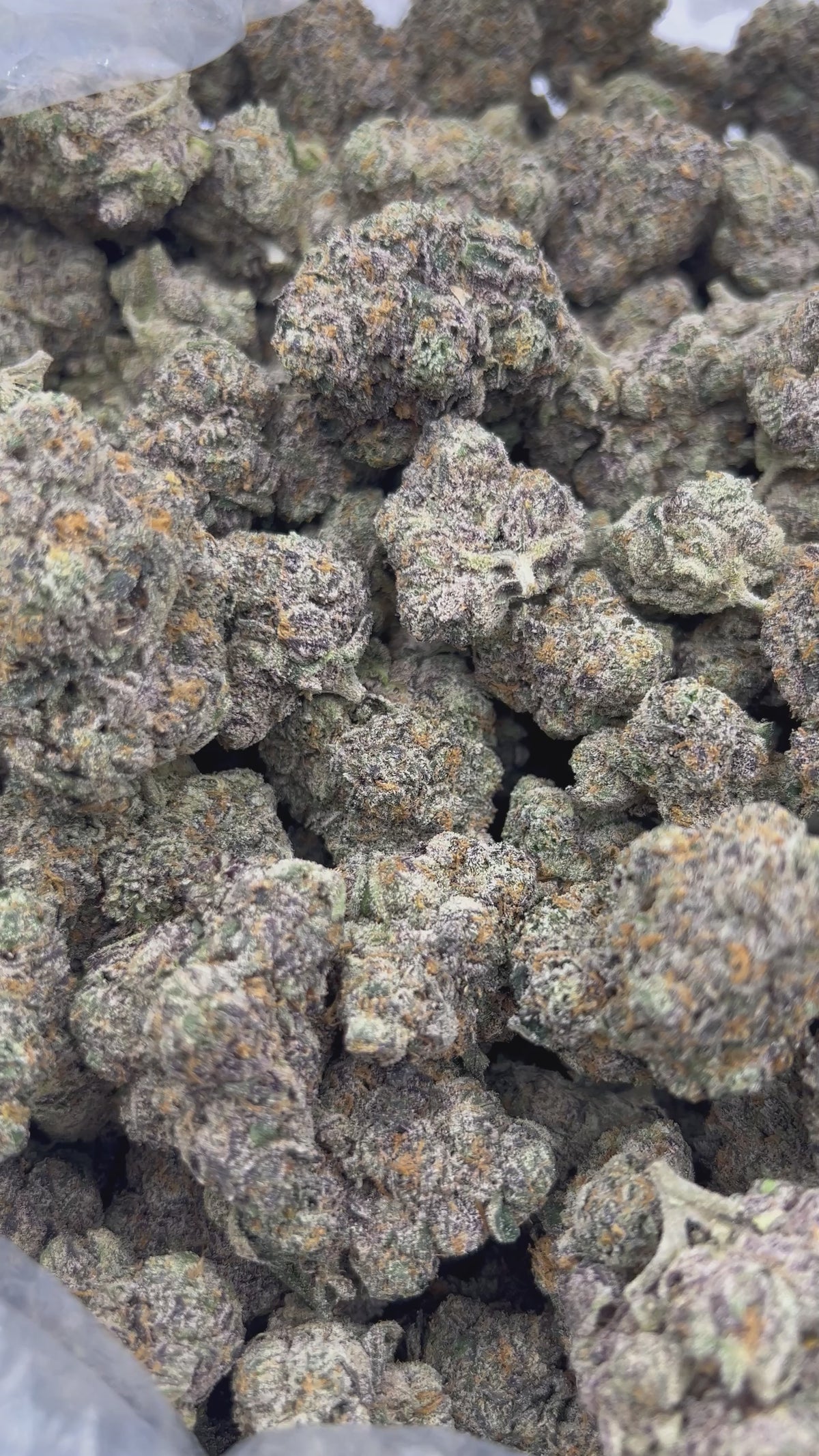 Permanent Runtz Indoor - Bulk - Hybrid – Smoke Kind