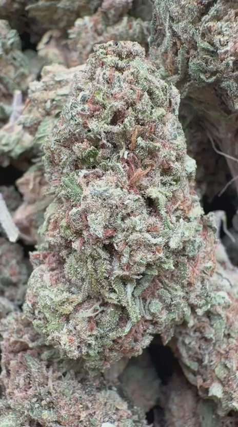 Forbidden Fruit - Bulk - Indica