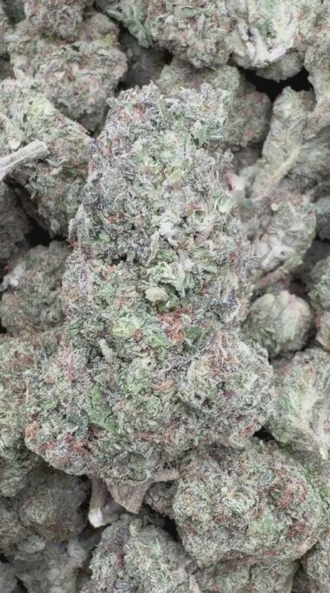 Triangle Kush - Bulk - Indica