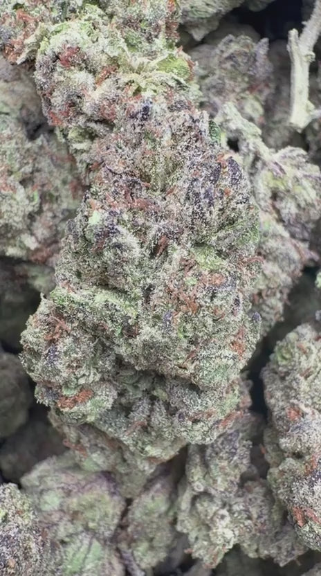 Thin Mint Cookies - Bulk - Hybrid
