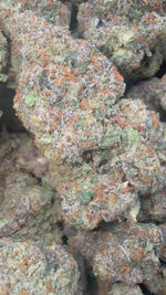 Zkittlez - Bulk - Indica