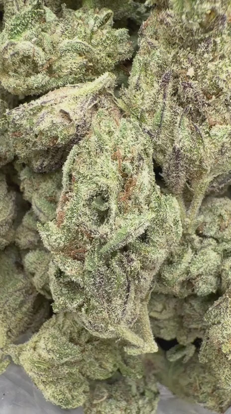 Chem Dawg Indoor Mediums - Bulk Mediums - Hybrid