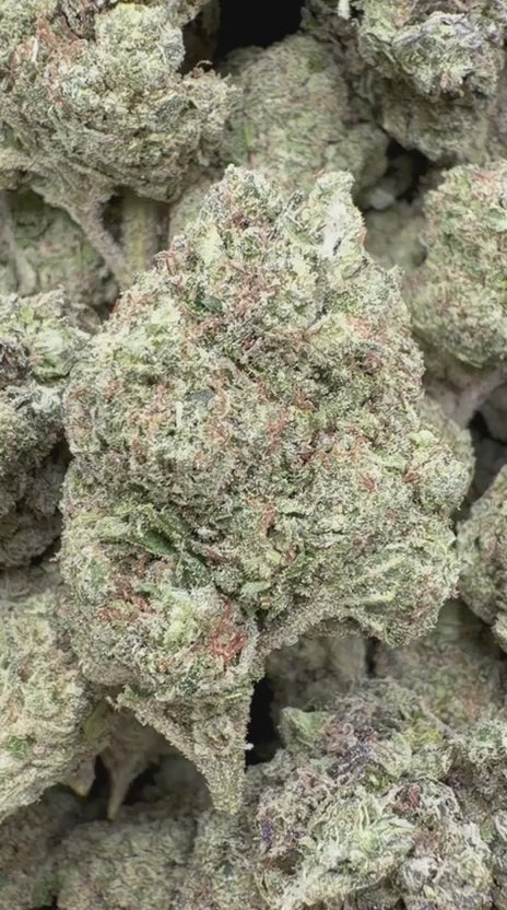 Sunset Sherbet - Bulk- Indica