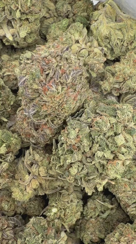 Bubba Candy - Bulk - Indica